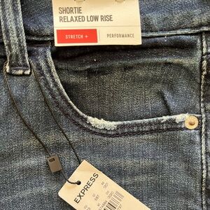 Express denim shorts